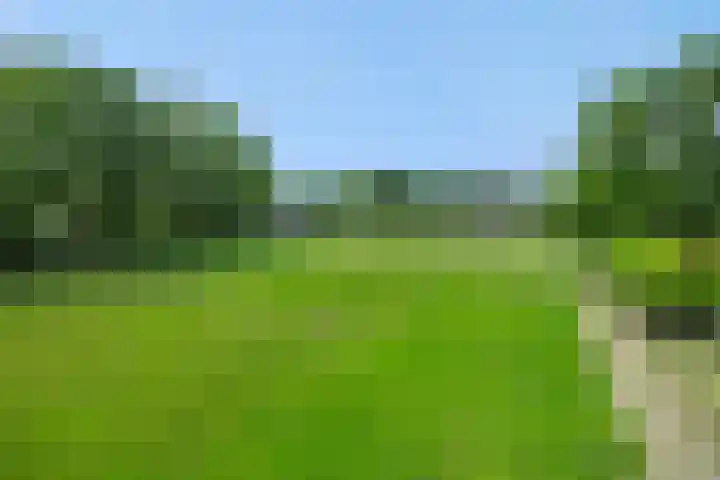 Krommesteeg 7 Beek en Donk thumbnail 44