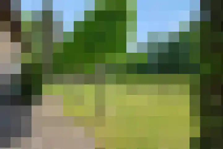 Krommesteeg 7 Beek en Donk thumbnail 45