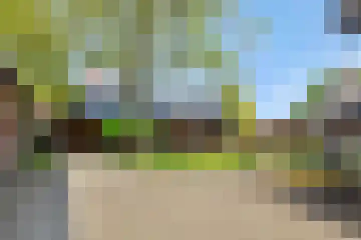 Krommesteeg 7 Beek en Donk thumbnail 47