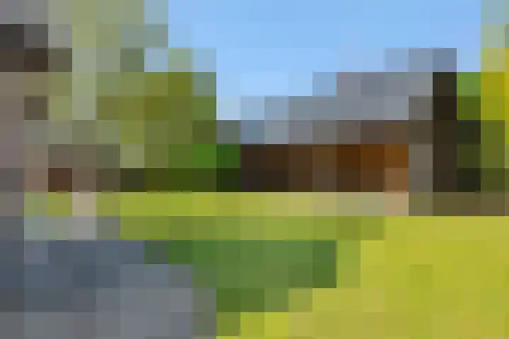Krommesteeg 7 Beek en Donk thumbnail 48