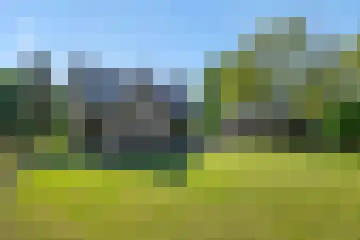 Krommesteeg 7 Beek en Donk thumbnail 49