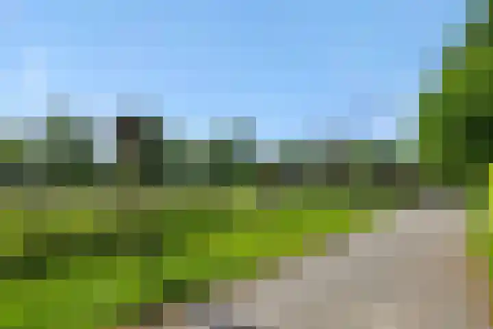 Krommesteeg 7 Beek en Donk thumbnail 5