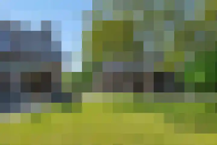 Krommesteeg 7 Beek en Donk thumbnail 50