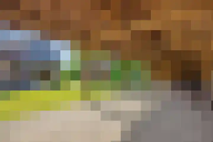 Krommesteeg 7 Beek en Donk thumbnail 51