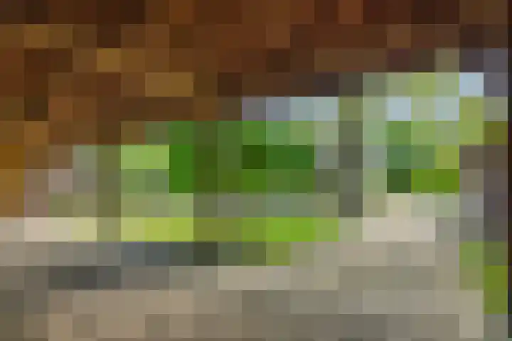 Krommesteeg 7 Beek en Donk thumbnail 52