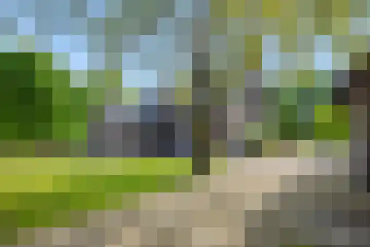 Krommesteeg 7 Beek en Donk thumbnail 53