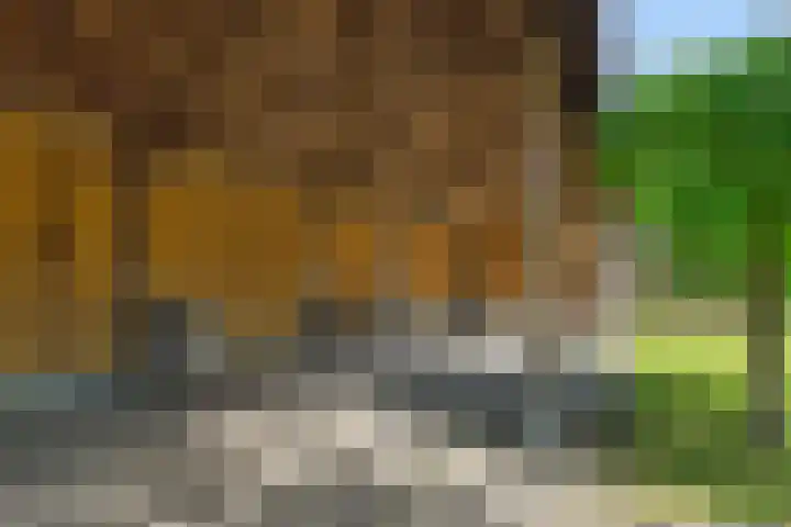 Krommesteeg 7 Beek en Donk thumbnail 54