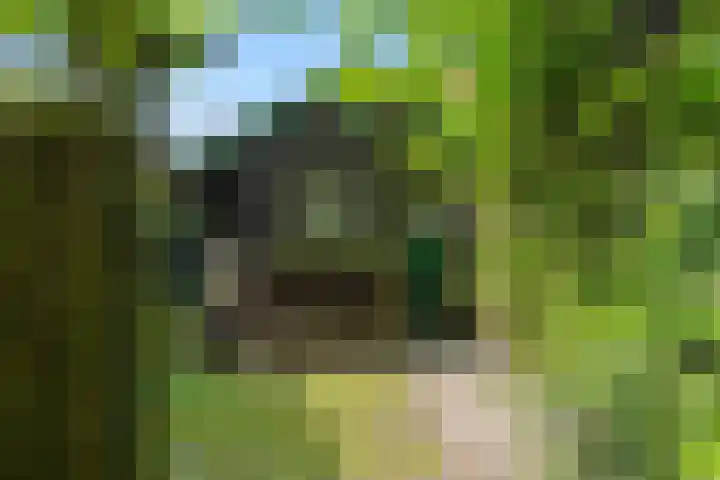 Krommesteeg 7 Beek en Donk thumbnail 55