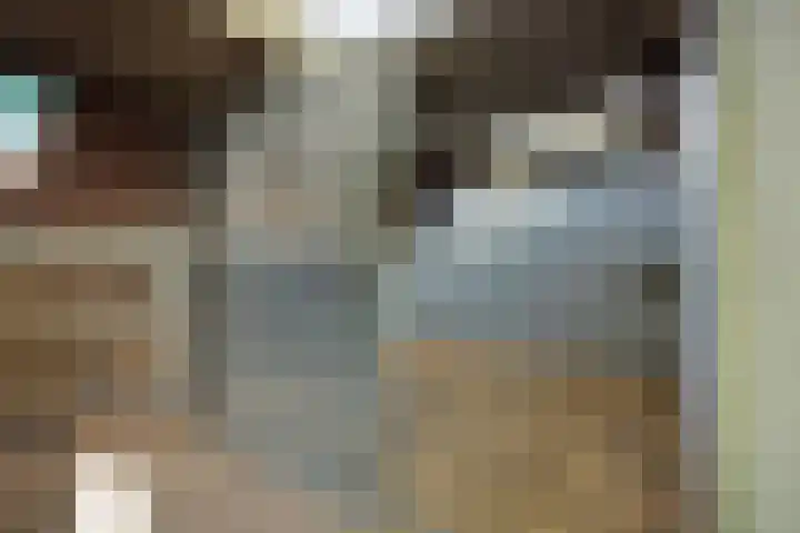 Krommesteeg 7 Beek en Donk thumbnail 59