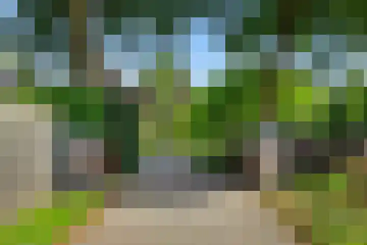 Krommesteeg 7 Beek en Donk thumbnail 6