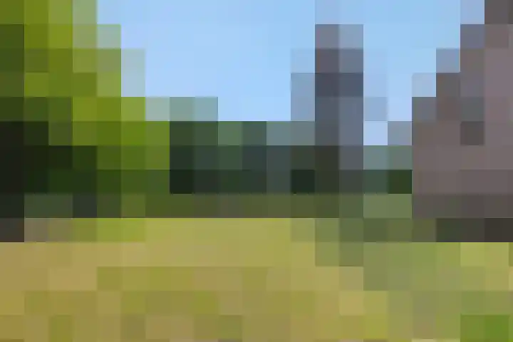 Krommesteeg 7 Beek en Donk thumbnail 60