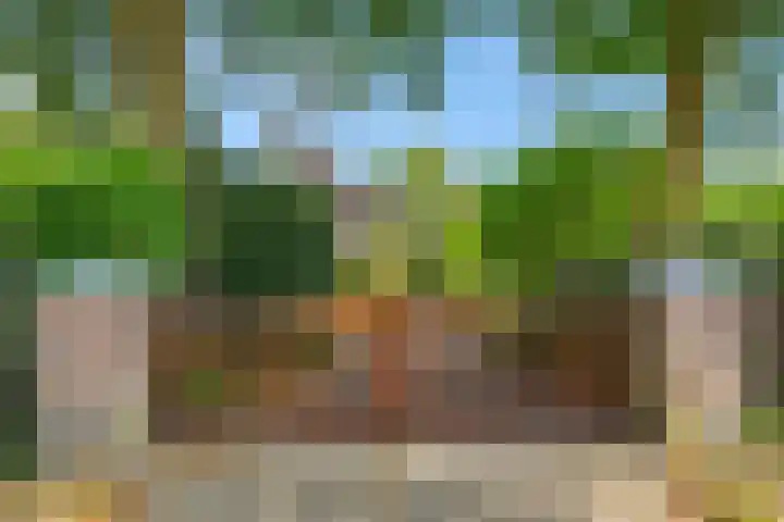 Krommesteeg 7 Beek en Donk thumbnail 61