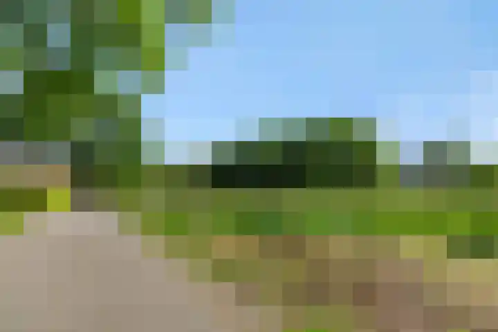 Krommesteeg 7 Beek en Donk thumbnail 62