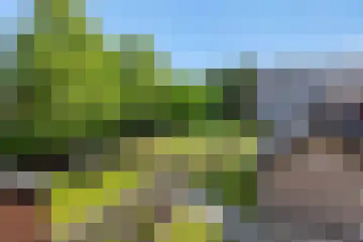 Krommesteeg 7 Beek en Donk thumbnail 64