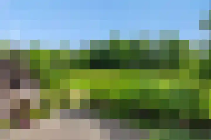 Krommesteeg 7 Beek en Donk thumbnail 65