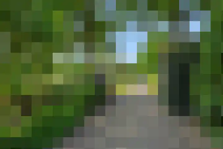 Krommesteeg 7 Beek en Donk thumbnail 7