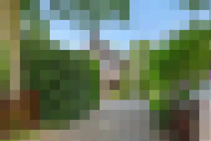 Krommesteeg 7 Beek en Donk thumbnail 8