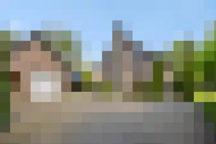 Krommesteeg 7 Beek en Donk thumbnail 9