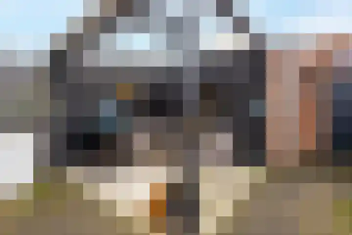 Krommestoep 18 Sliedrecht thumbnail 18