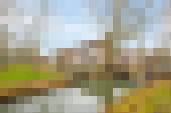 Krommestoep 18 Sliedrecht thumbnail 20