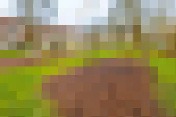 Krommestoep 18 Sliedrecht thumbnail 21