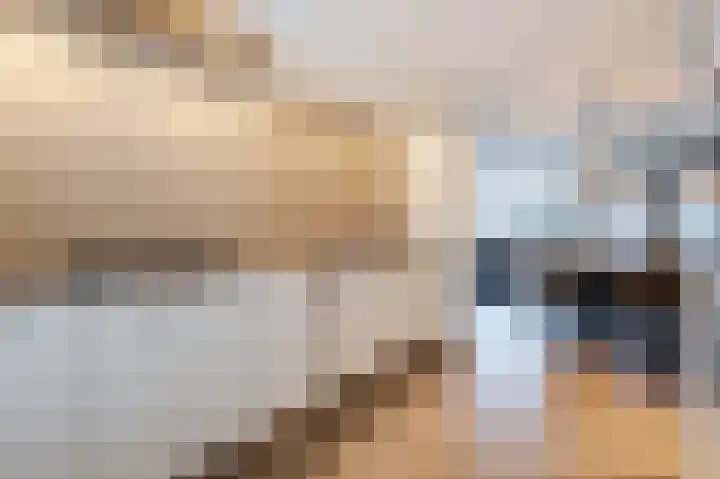 Krommestoep 18 Sliedrecht thumbnail 7