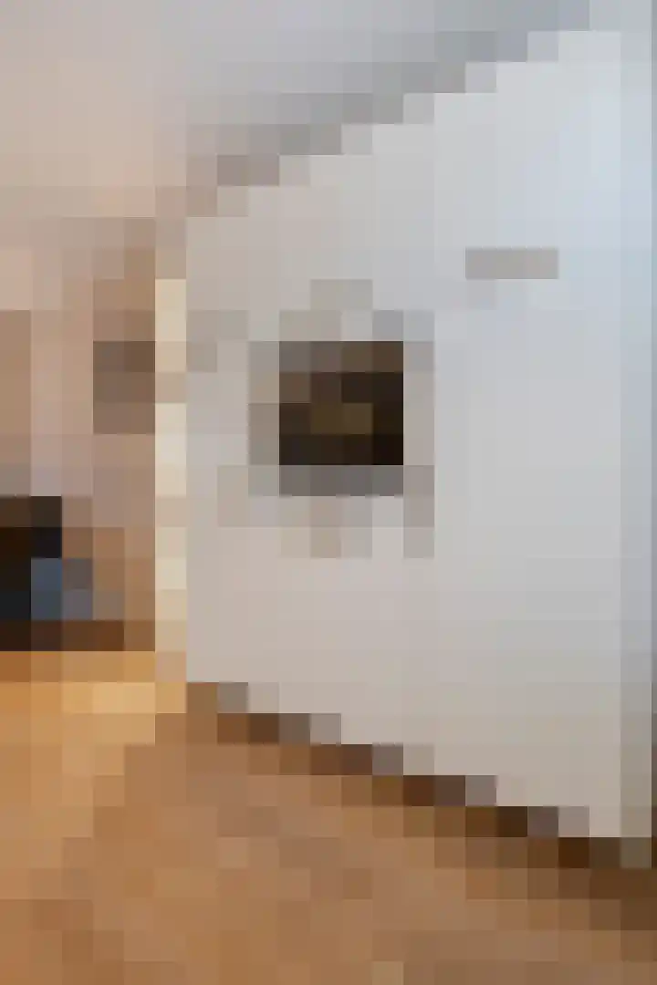 Krommestoep 18 Sliedrecht thumbnail 8