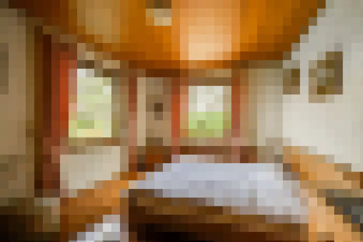Krommestraat 22 Sprundel thumbnail 10