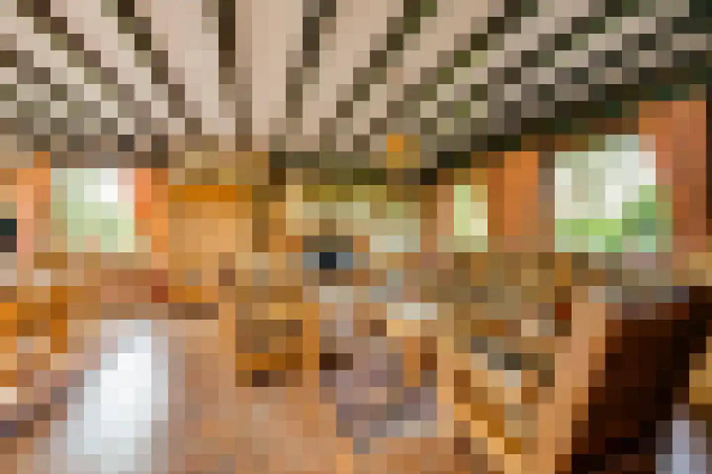 Krommestraat 22 Sprundel thumbnail 12