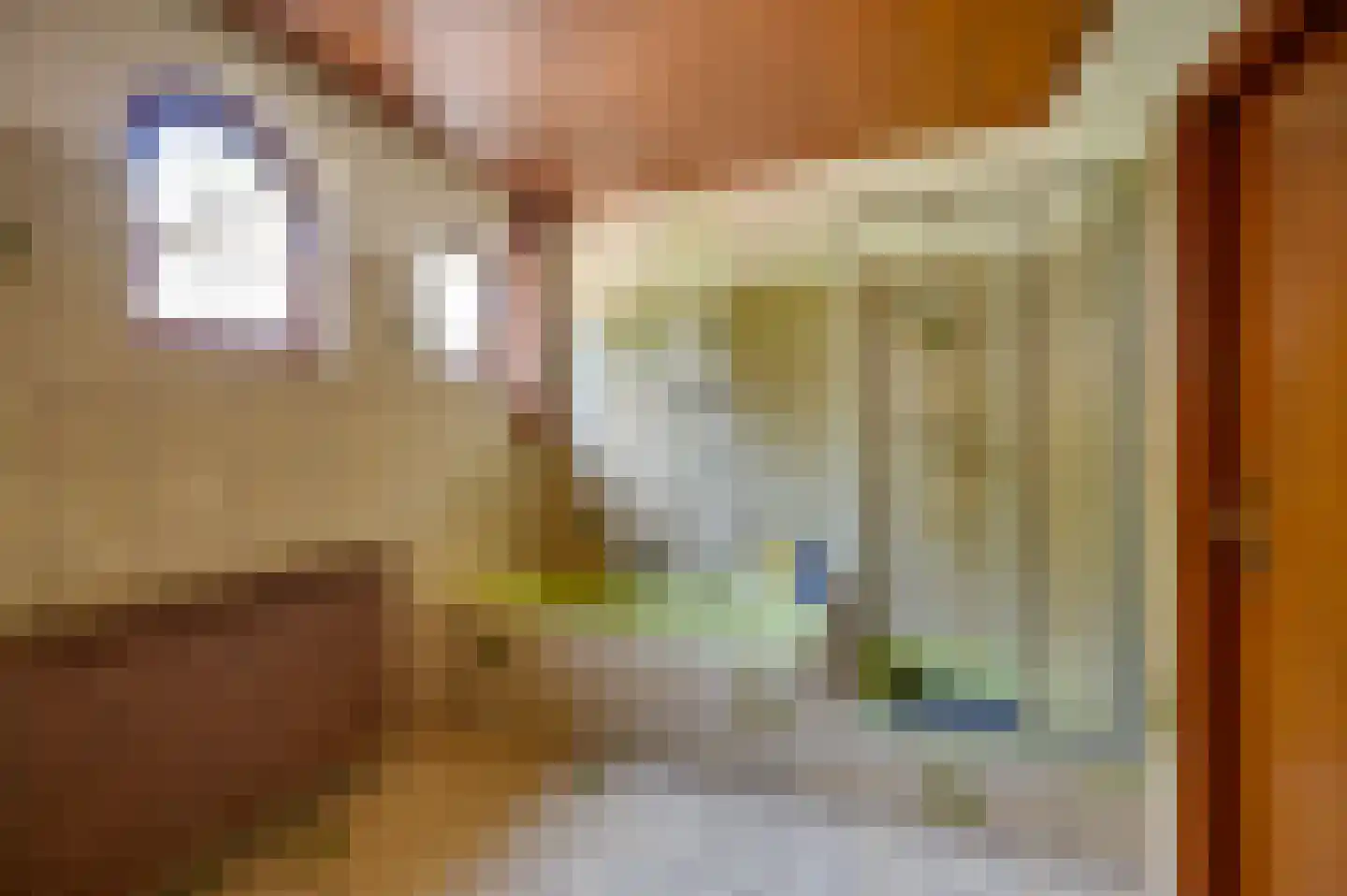 Krommestraat 22 Sprundel thumbnail 20