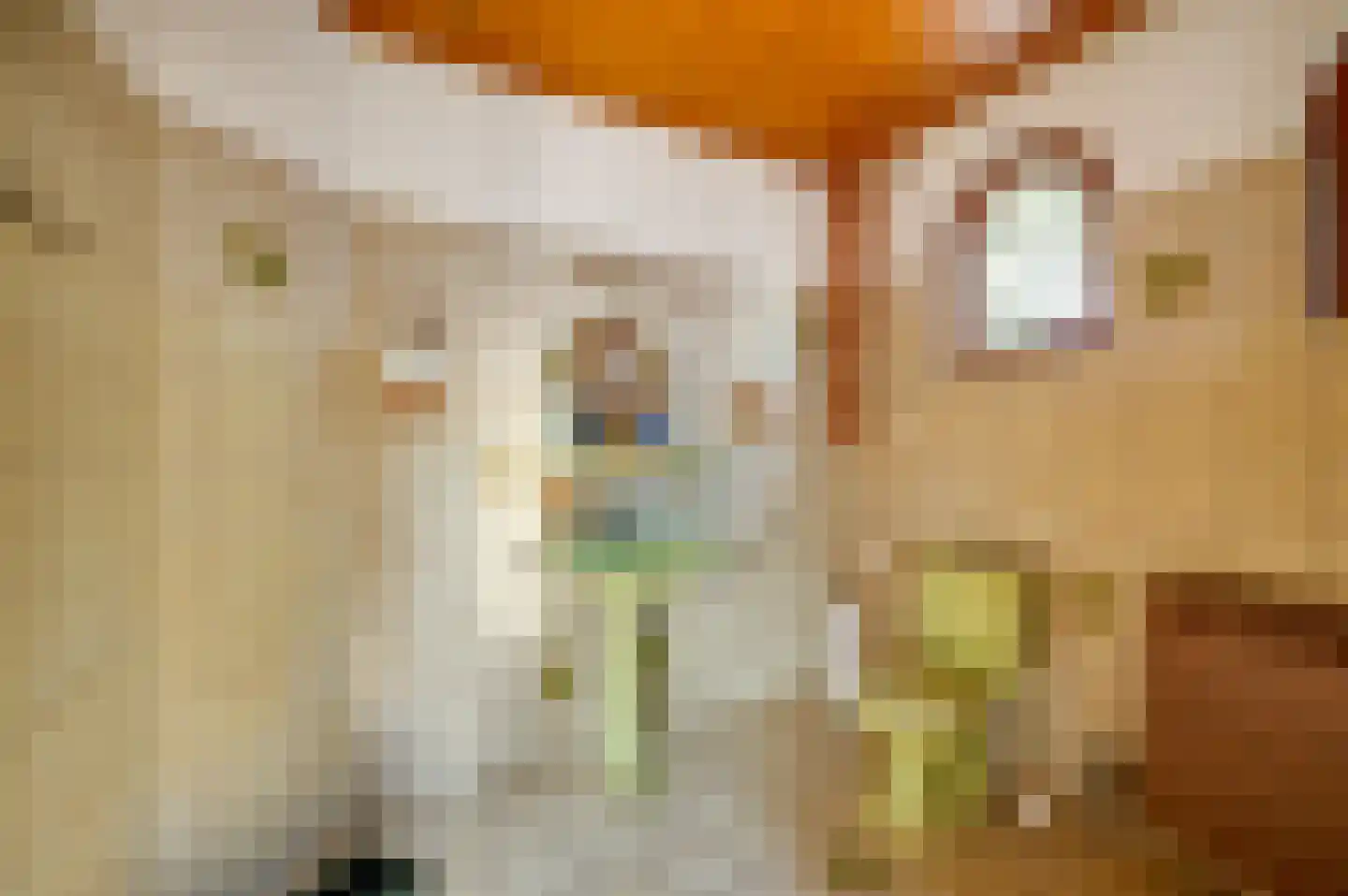 Krommestraat 22 Sprundel thumbnail 21