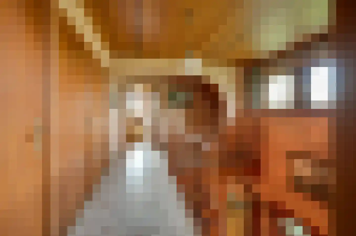 Krommestraat 22 Sprundel thumbnail 22