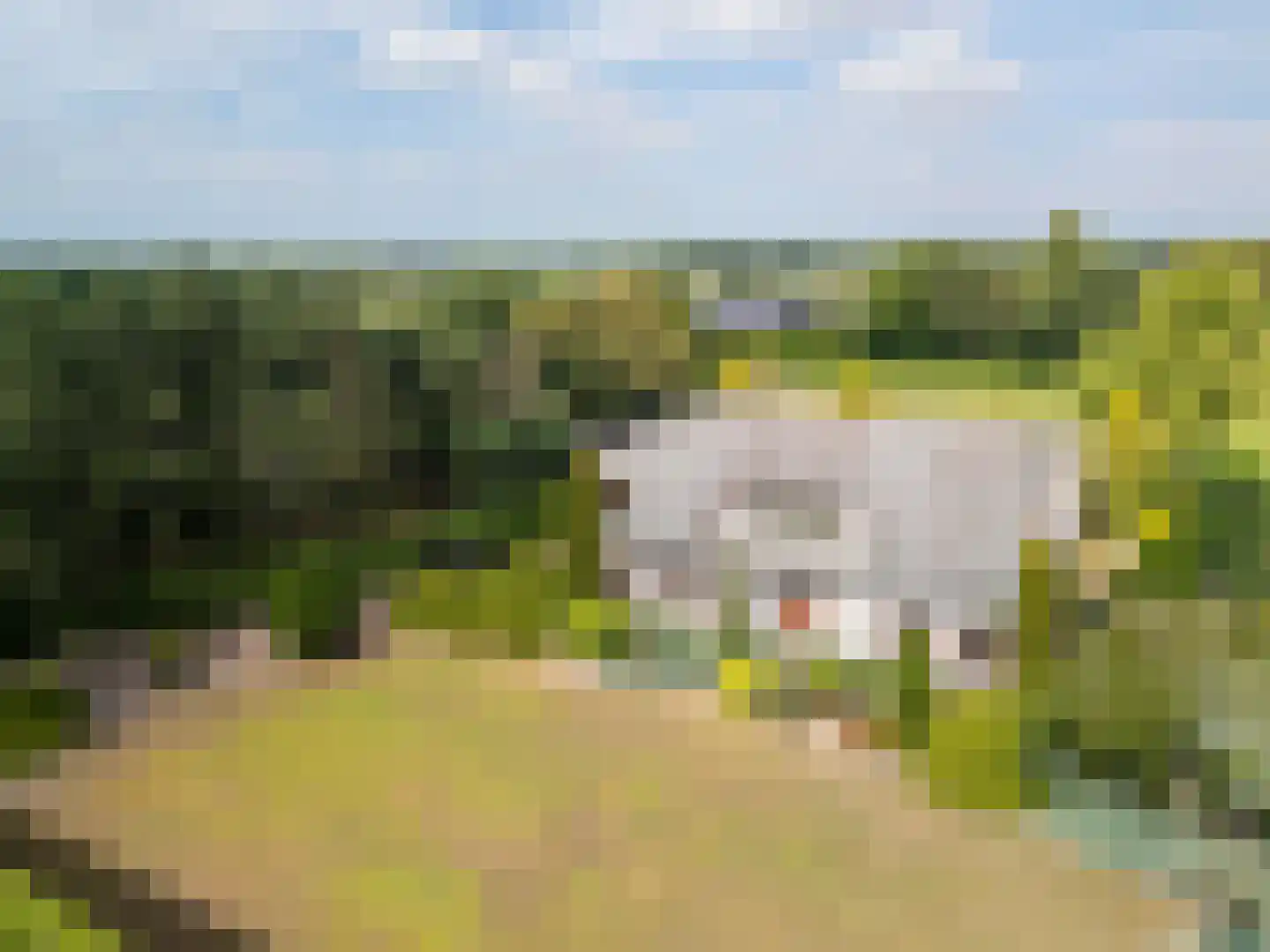 Krommestraat 22 Sprundel thumbnail 32