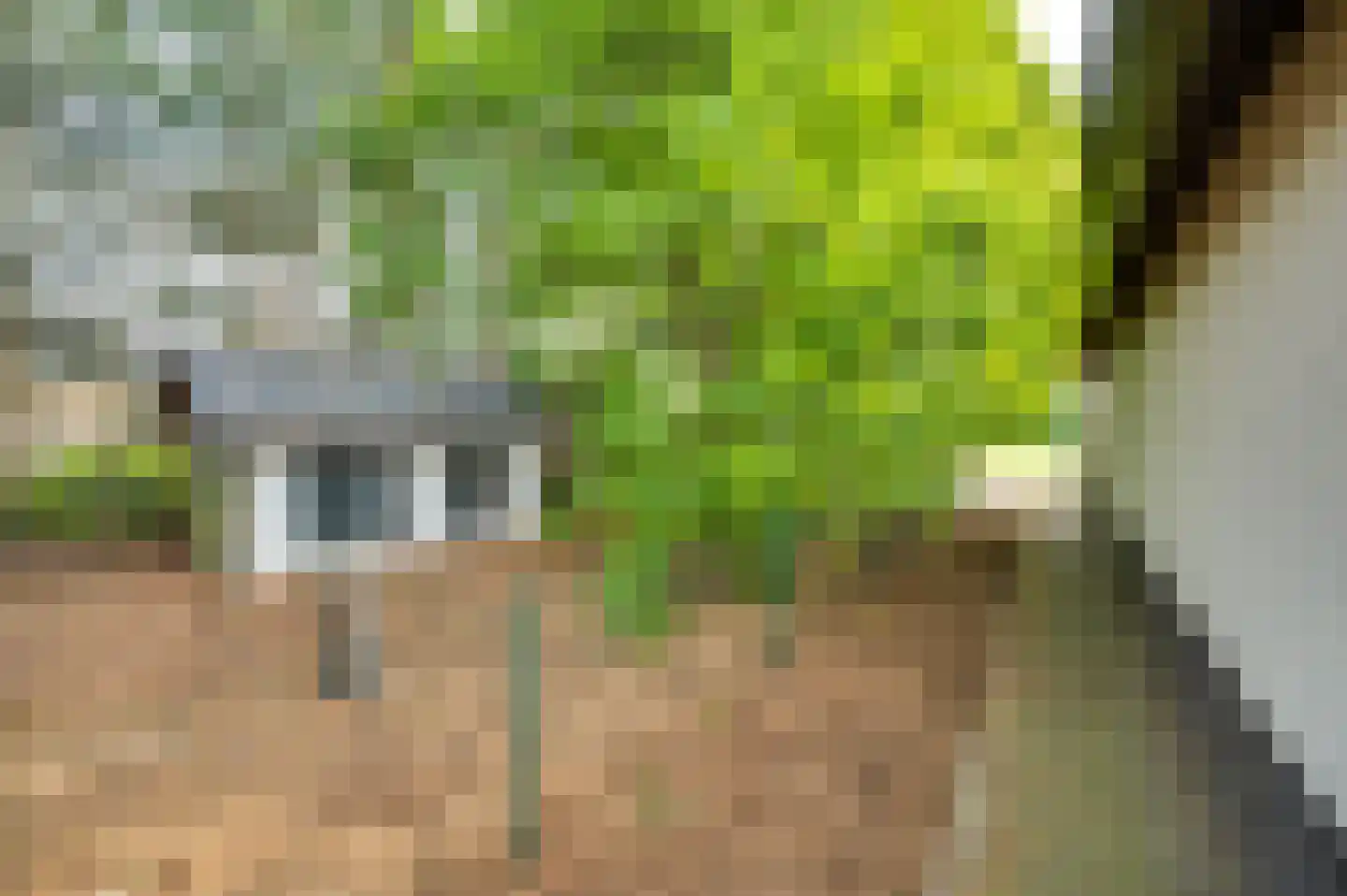 Krommestraat 22 Sprundel thumbnail 41