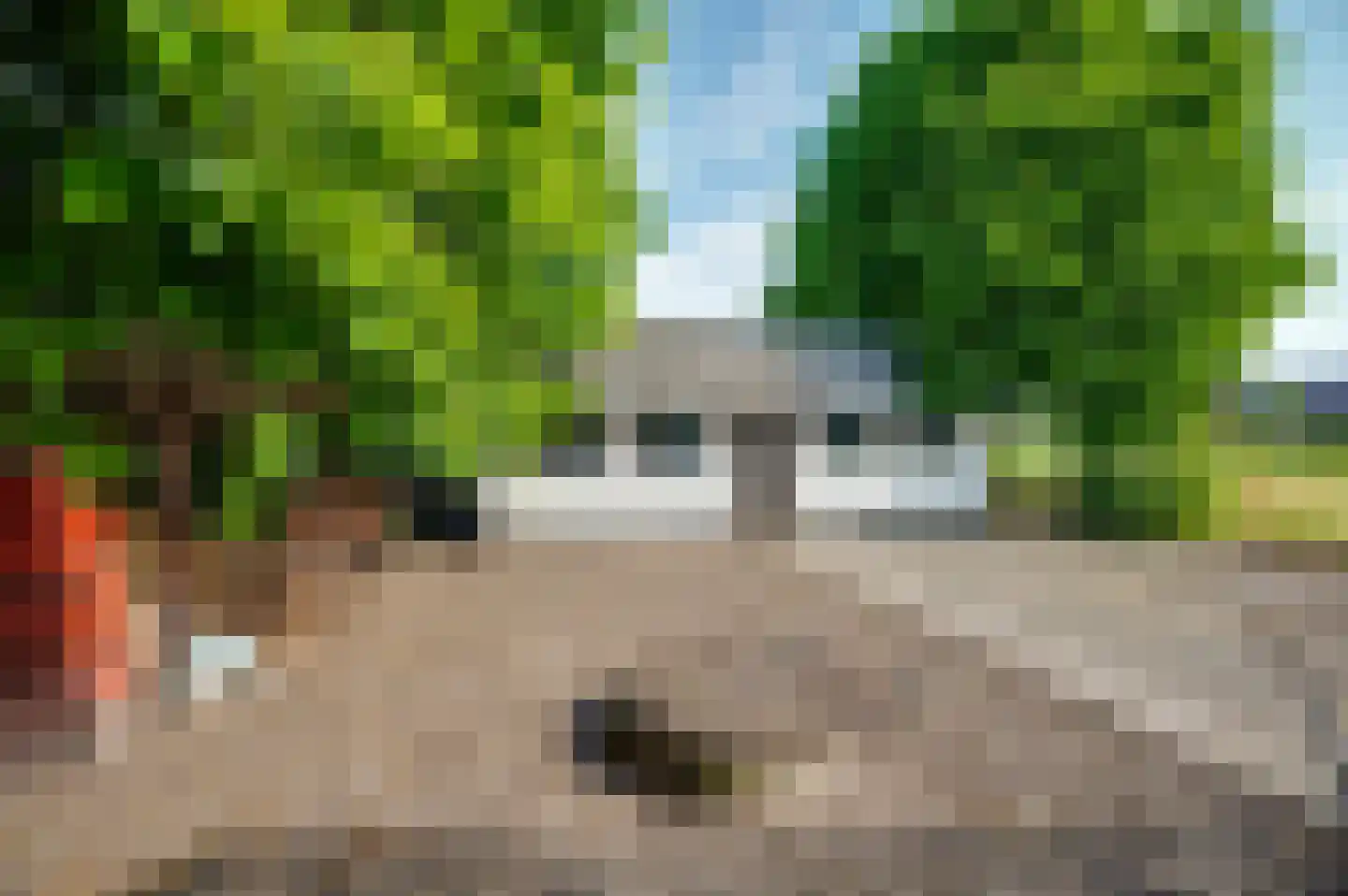 Krommestraat 22 Sprundel thumbnail 42