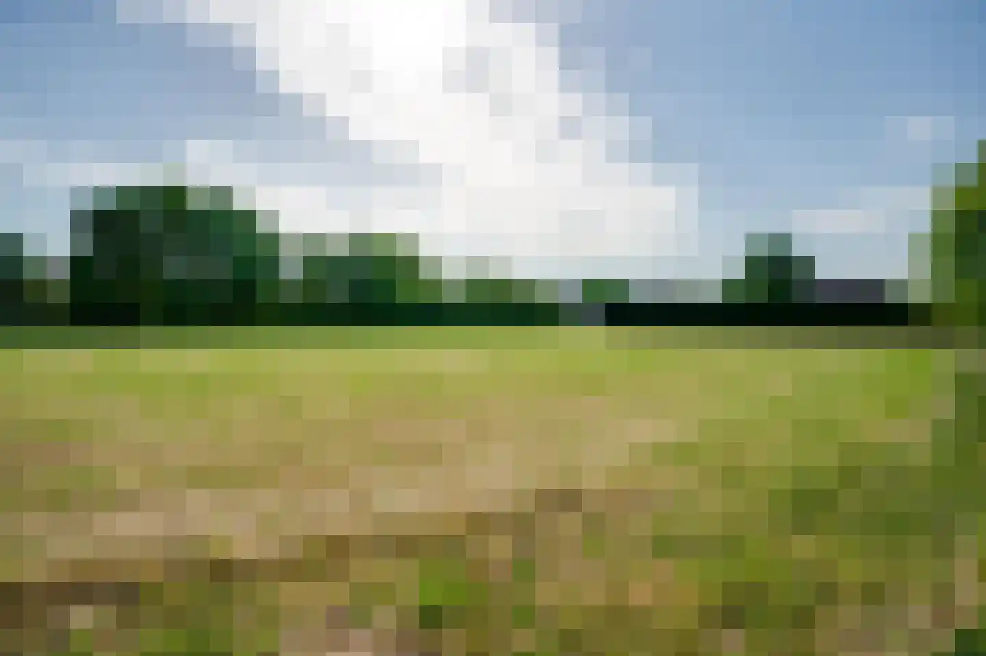 Krommestraat 22 Sprundel thumbnail 44