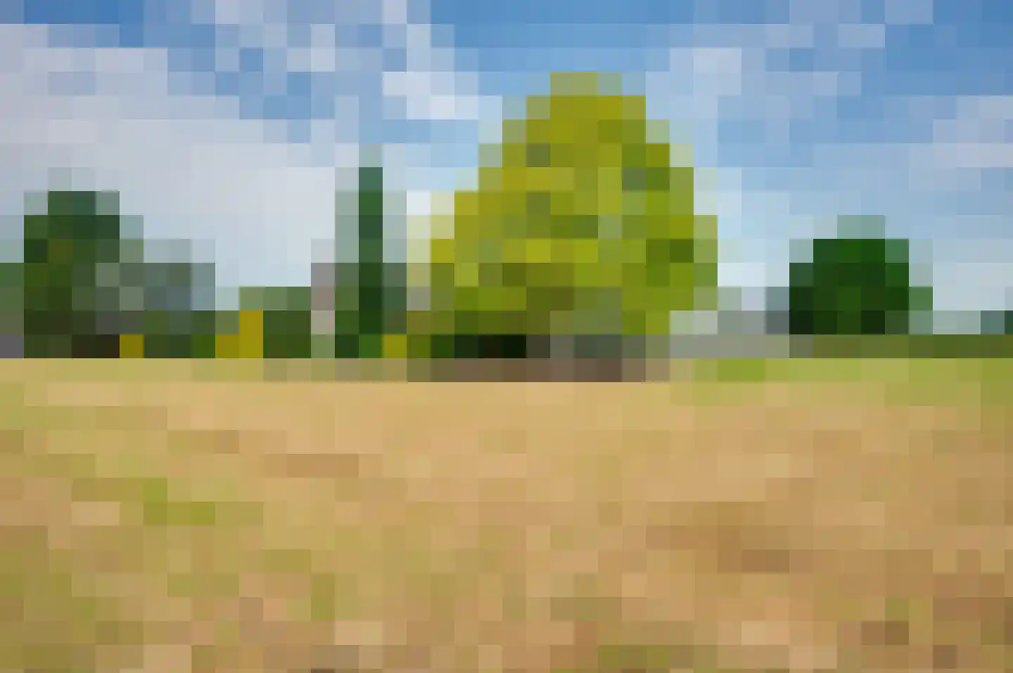 Krommestraat 22 Sprundel thumbnail 45