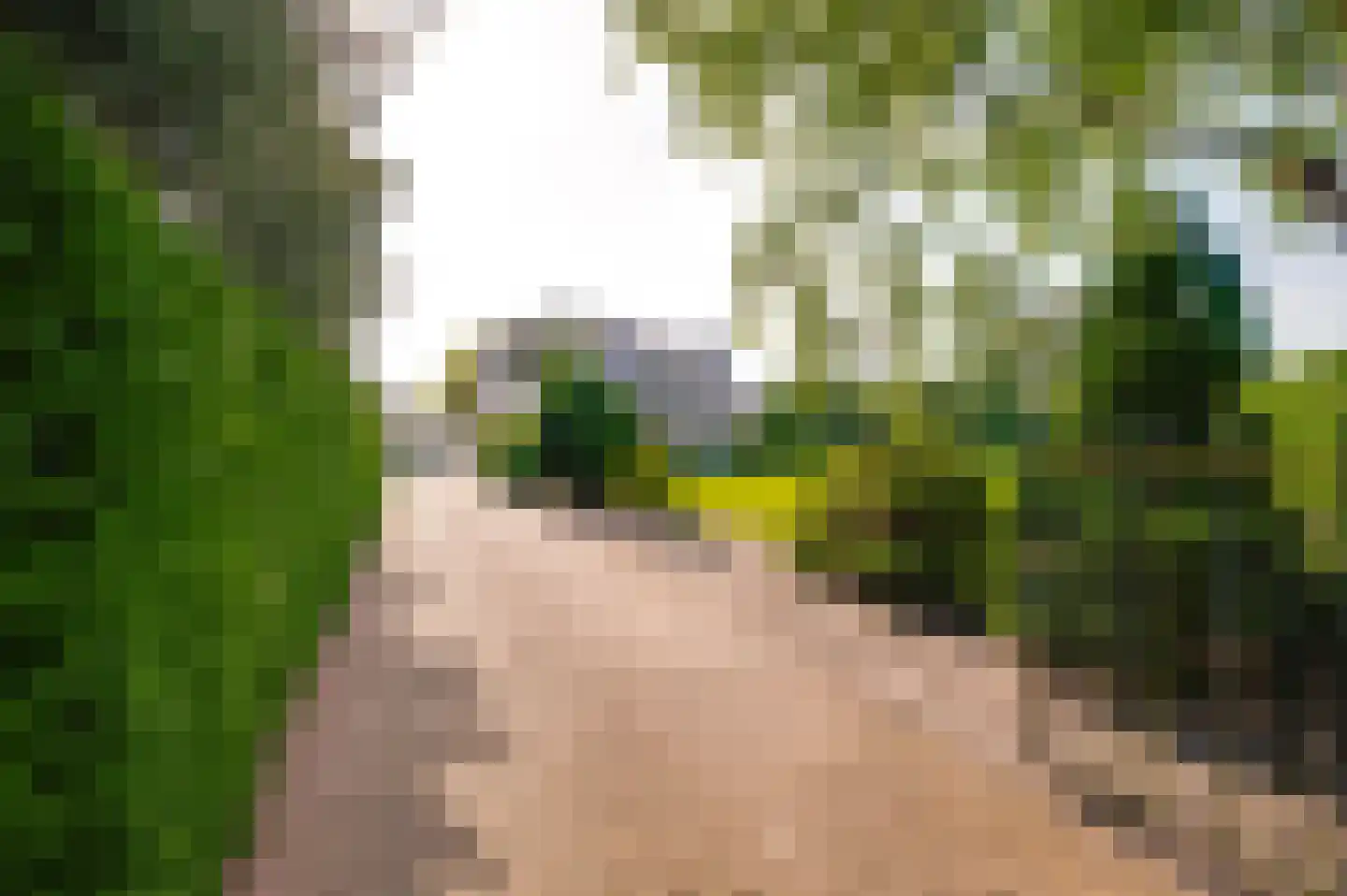 Krommestraat 22 Sprundel thumbnail 52