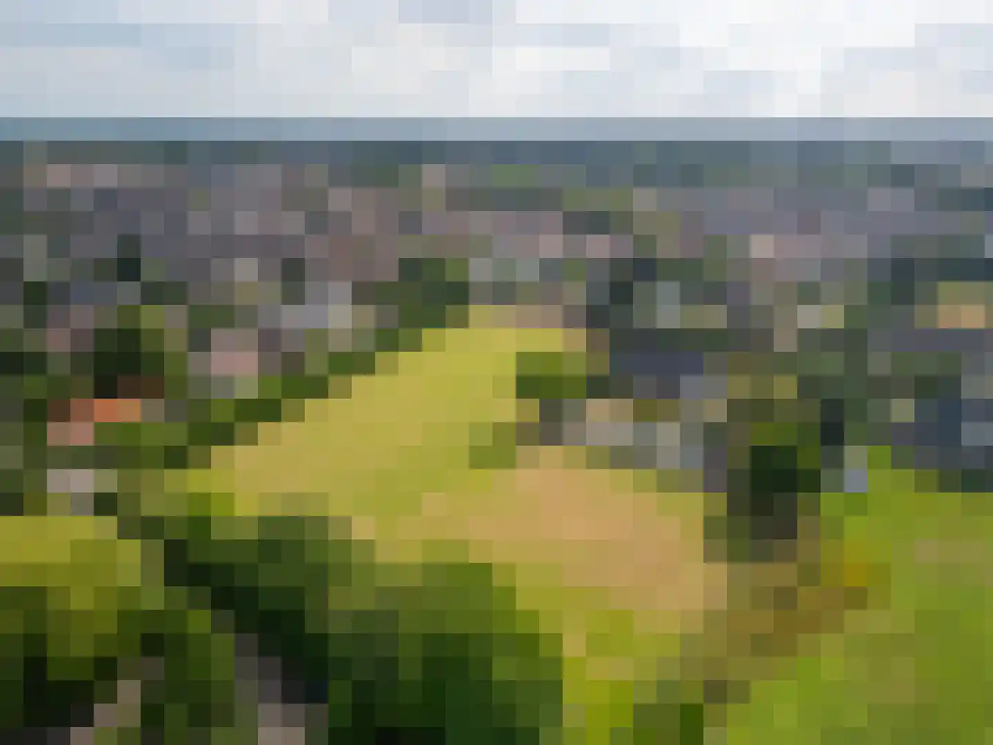 Krommestraat 22 Sprundel thumbnail 7