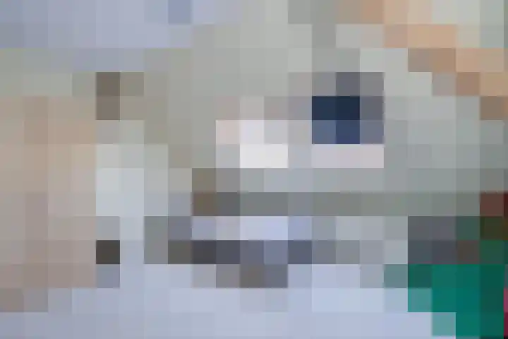 Krommestraat 4 Westendorp thumbnail 31