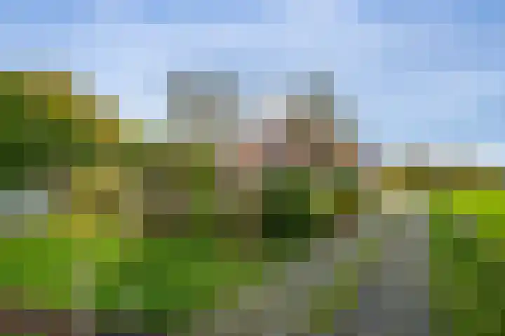 Krommestraat 4 Westendorp thumbnail 37
