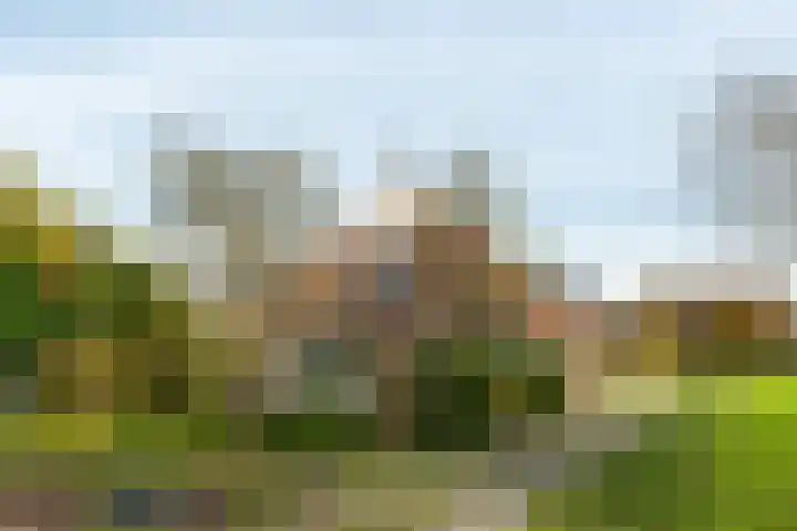 Krommestraat 4 Westendorp thumbnail 63