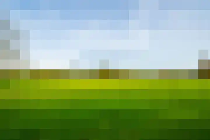 Krommestraat 4 Westendorp thumbnail 64