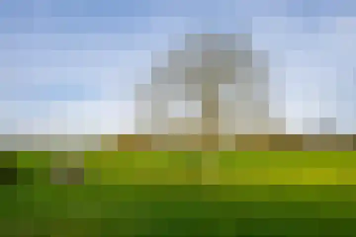 Krommestraat 4 Westendorp thumbnail 66