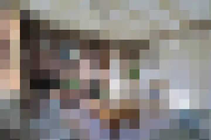 Krommestraat 4 Westendorp thumbnail 8