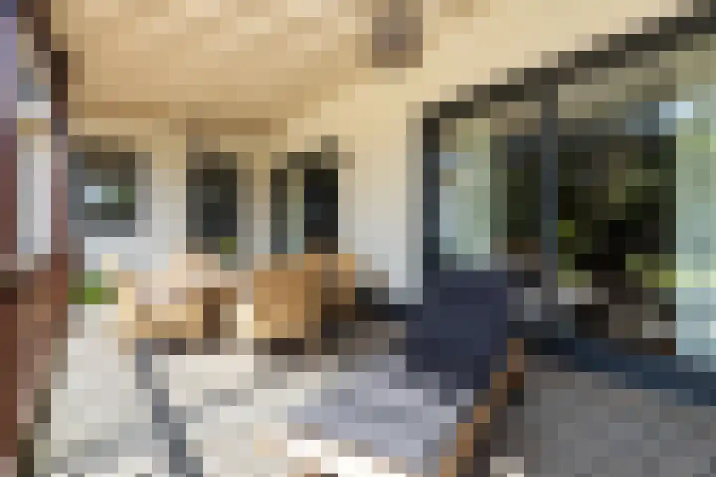 Krommestraat 45 Sprundel thumbnail 55