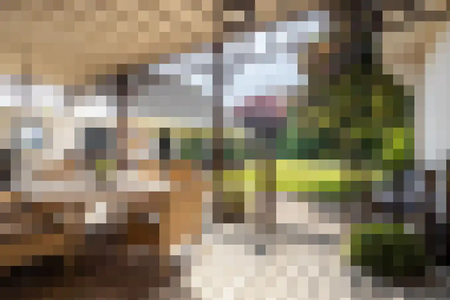 Krommestraat 45 Sprundel thumbnail 56
