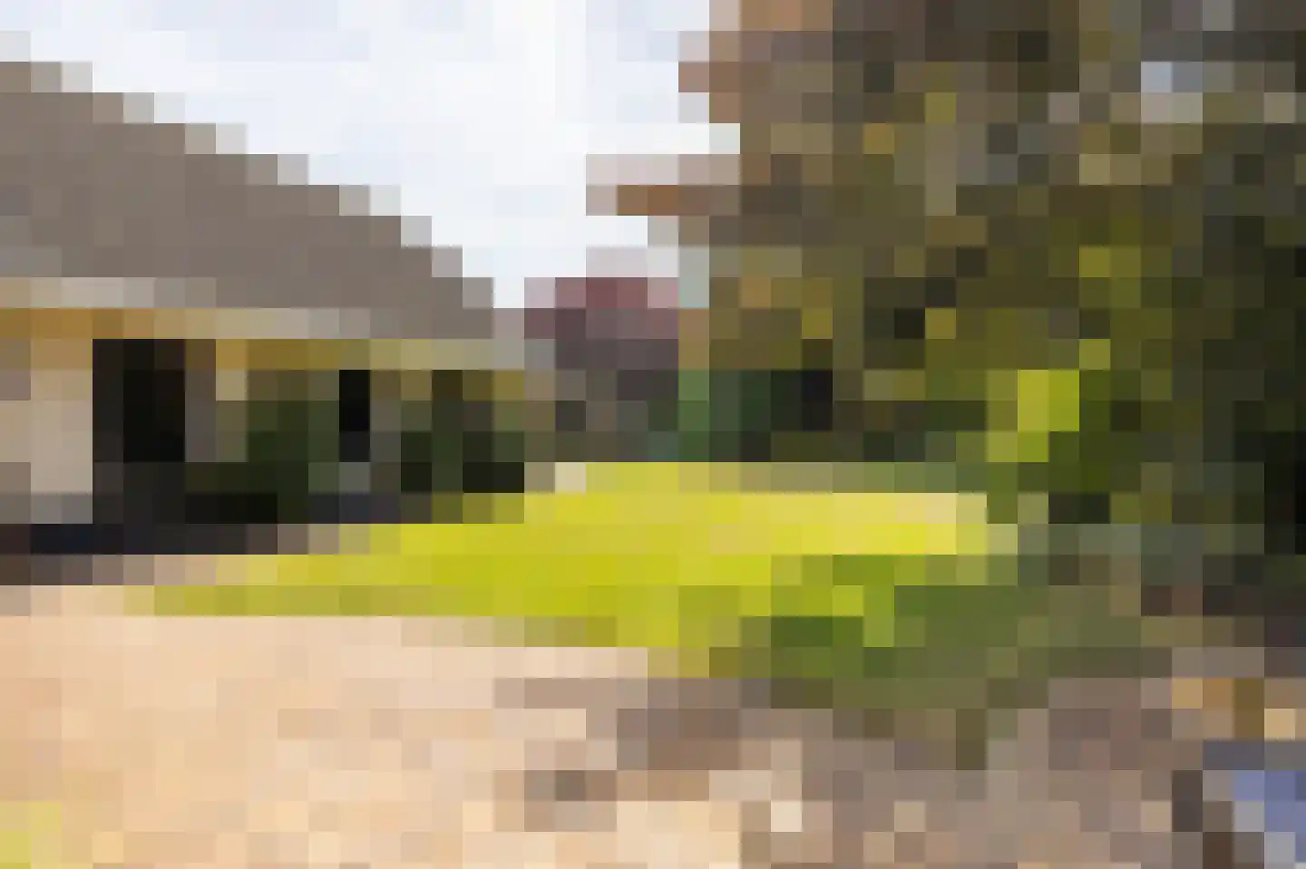 Krommestraat 45 Sprundel thumbnail 58