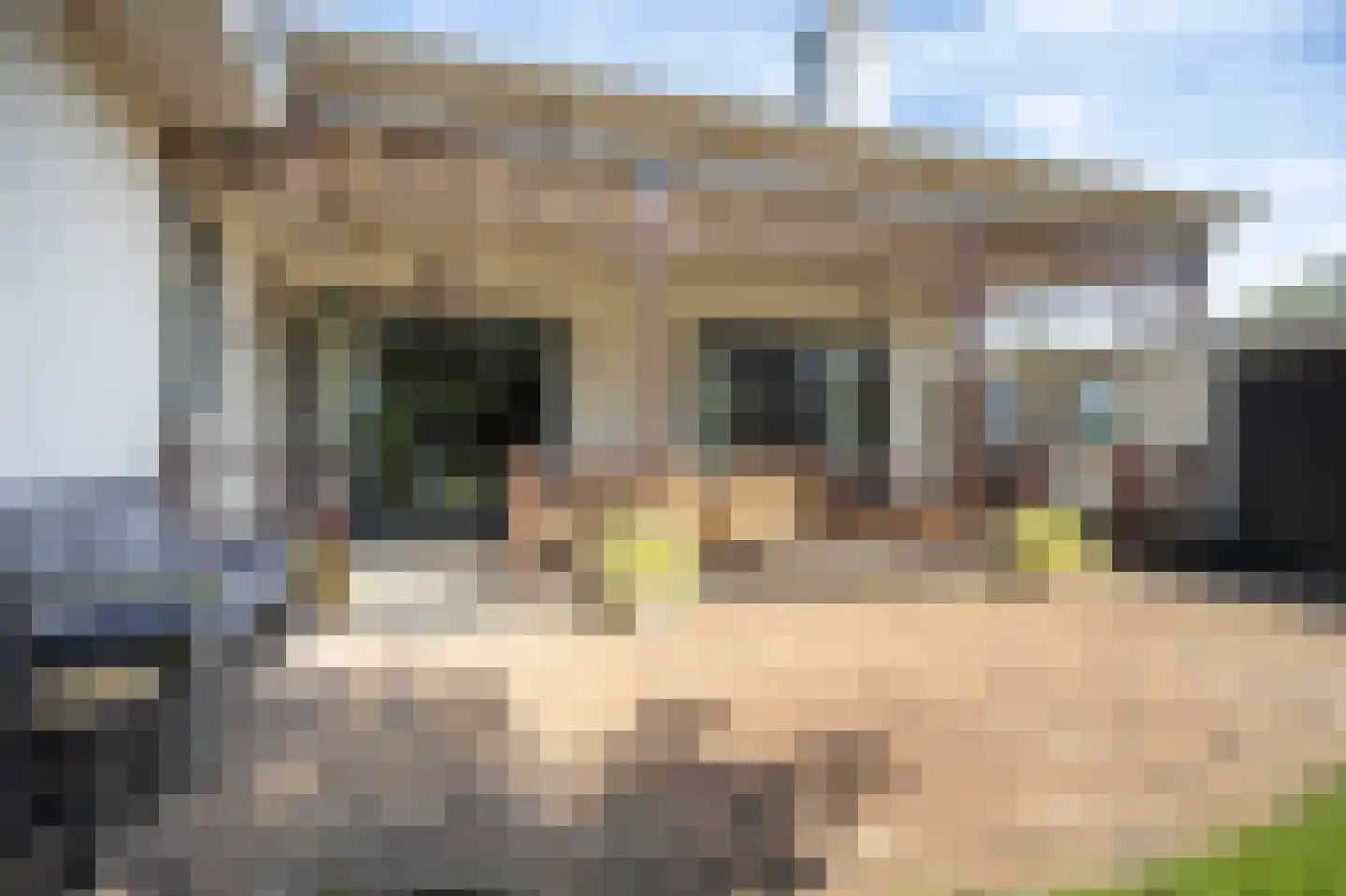 Krommestraat 45 Sprundel thumbnail 59