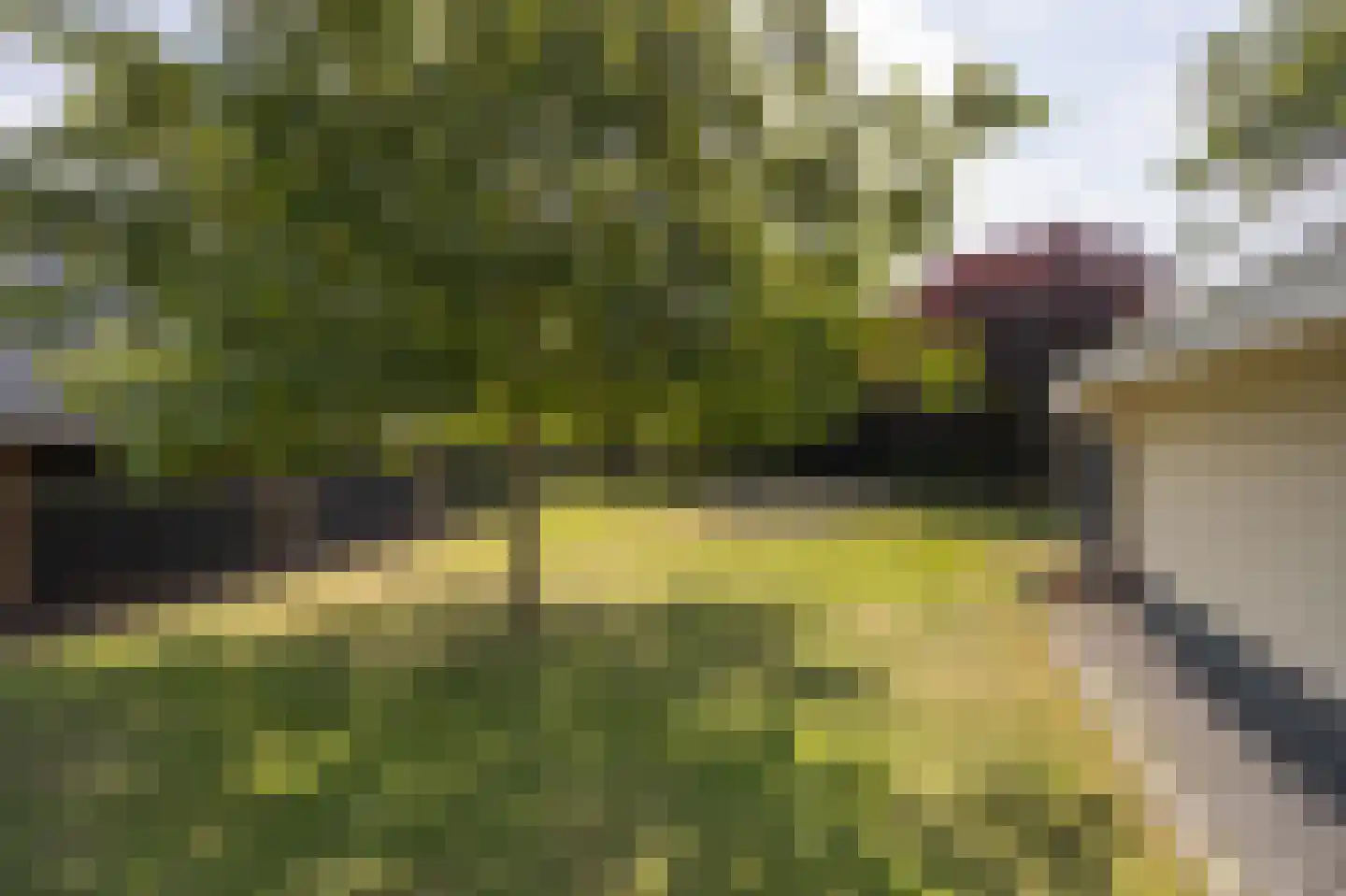 Krommestraat 45 Sprundel thumbnail 71